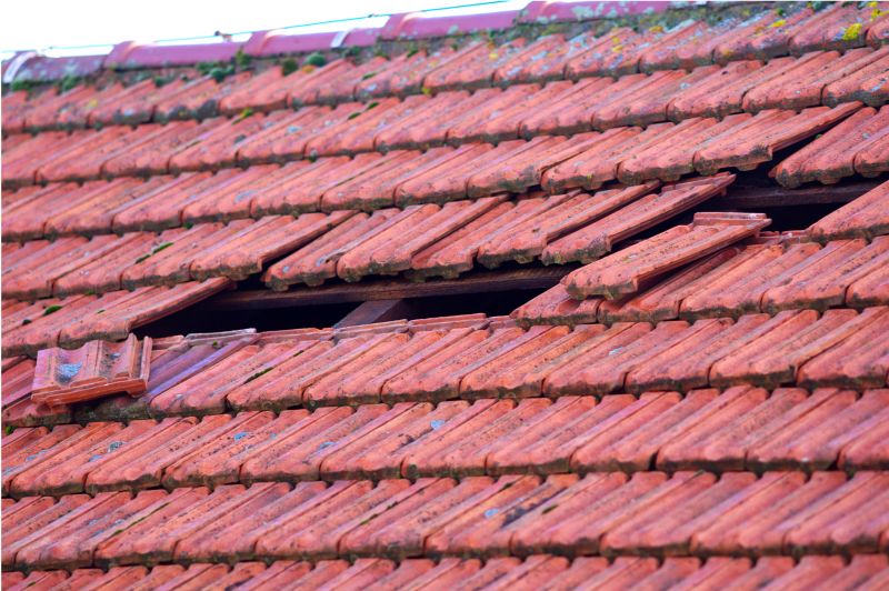 Roof Shingles Replacement Service
