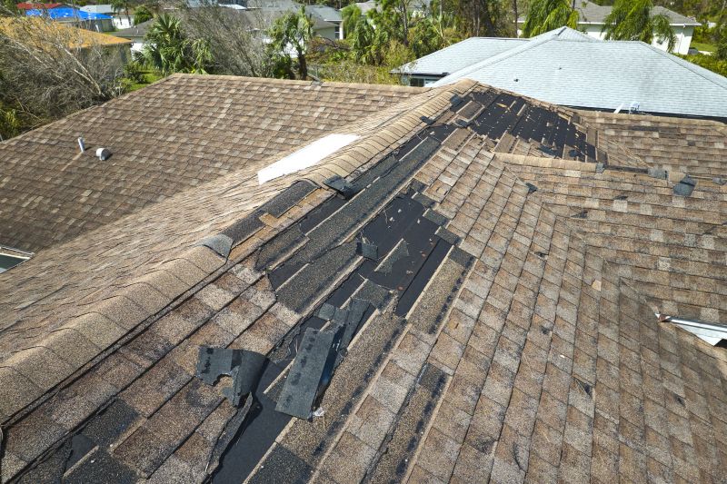 Spring Roofing Services
